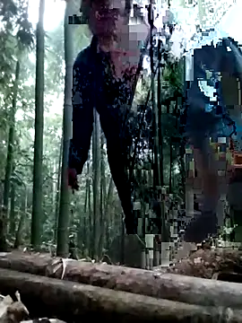 alycen online show from 15, 1, 2026