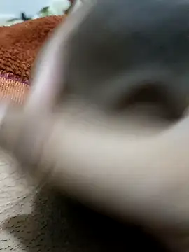 Snapshot of _chota_bunny_ chatting on 9, 2, 2026 chota bunny online show from 9, 2, 2026