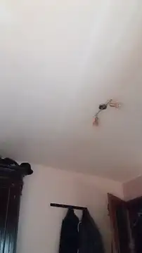 Snapshot of Der_Schoene_Penis chatting on 11, 1, 2026 Der Schoene Penis online show from 11, 1, 2026