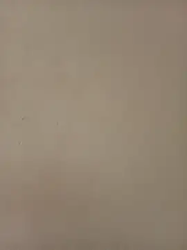 shanicollete online show from 10, 1, 2026