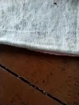 Snapshot of Danu2005dsa chatting on 3, 3, 2026 Danu2005dsa online show from 3, 3, 2026