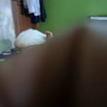 Mukto Akash online show from 10, 4, 2026