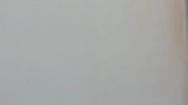 Missy 22  online show from 15, 4, 2026