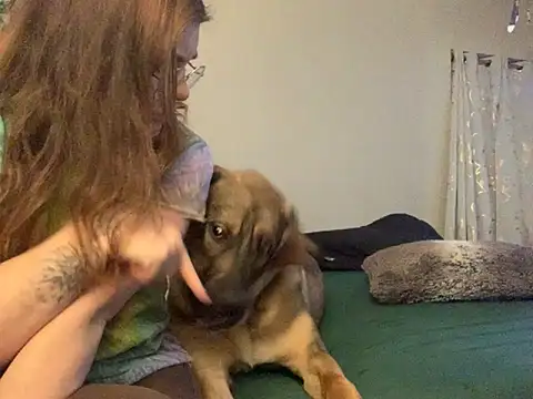 Intothewoodswego online show from 22, 2, 2026