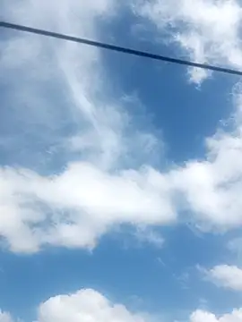     gozada---- online show from 12, 1, 2026