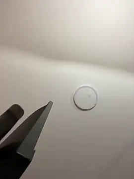 Michelle ec online show from 7, 3, 2026