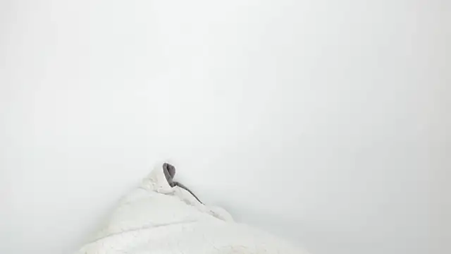 Sarah sumemers online show from 4, 3, 2026