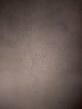 Neha-babySl online show from 8, 1, 2026