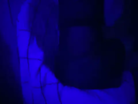 WarmSound online show from 15, 1, 2026