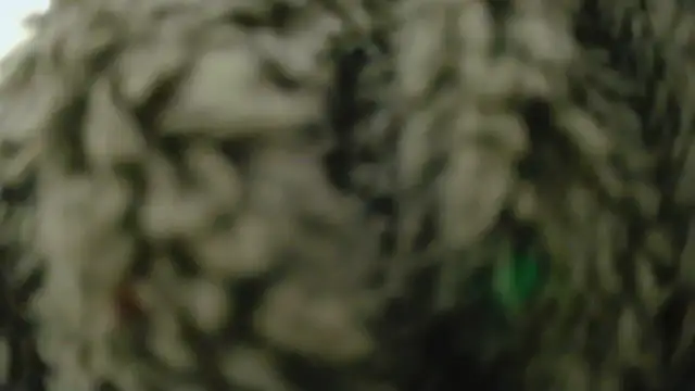 Masui online show from 8, 2, 2026