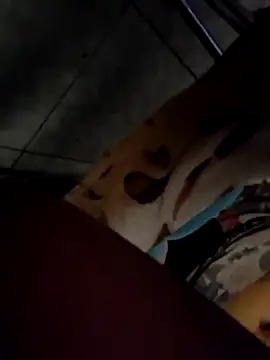 1jogadorcaro online show from 12, 1, 2026