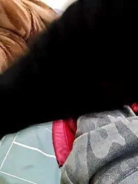 lov my dick online show from 13, 1, 2026