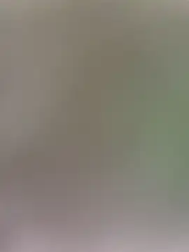 wy2026 online show from 3, 4, 2026