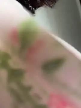 wy2026 online show from 12, 4, 2026