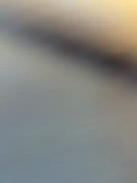 wy2026 online show from 6, 4, 2026