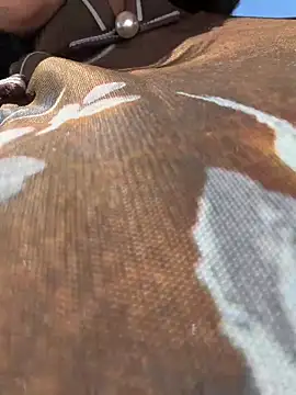 wy2026 online show from 10, 4, 2026