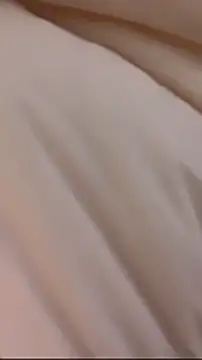 wy2026 online show from 1, 3, 2026