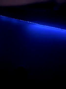 Actionlord7 online show from 8, 1, 2026