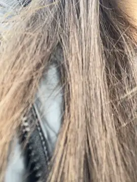 mi-ki1314 online show from 2, 3, 2026