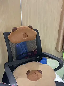 An-An19 online show from 17, 1, 2026