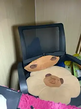 An-An19 online show from 17, 2, 2026