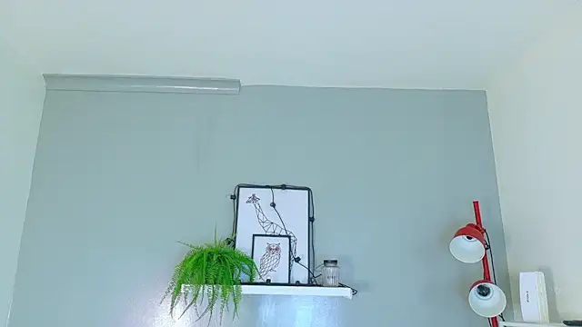 Dulcesexy   online show from 15, 7, 2026