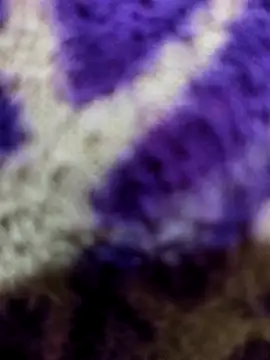 Gaonkadesiland online show from 15, 1, 2026