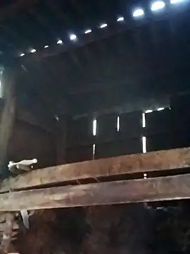 miray- online show from 13, 3, 2026