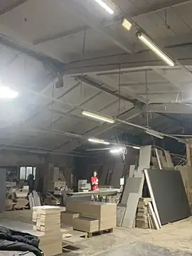 Dildogang online show from 1, 3, 2026