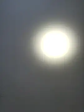 roksa2026 online show from 14, 1, 2026