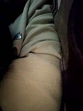 Pulkeet1433 online show from 13, 1, 2026