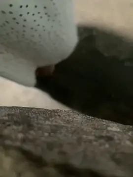 Ginny 2x online show from 7, 3, 2026