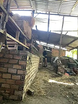 Ginny 2x online show from 20, 2, 2026