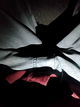 Snapshot of Ravi_Free_Fire chatting on 9, 1, 2026 Ravi Free Fire online show from 9, 1, 2026