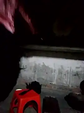 cdyyds-69 online show from 2, 2, 2026