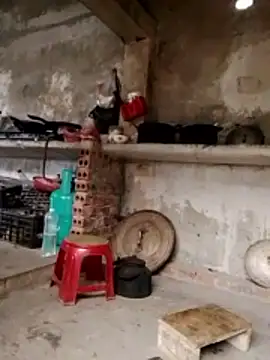 cdyyds-69 online show from 5, 2, 2026