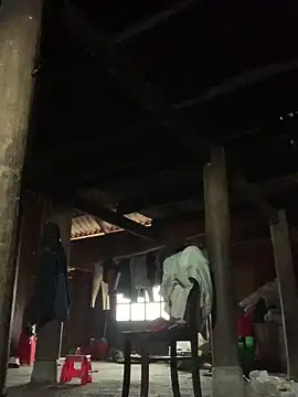 Naalyy online show from 5, 3, 2026