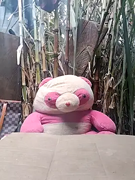 leona118 online show from 11, 2, 2026