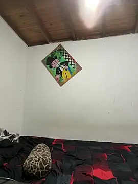 ehc1312 online show from 10, 1, 2026