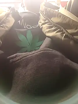 dildarlund online show from 9, 1, 2026