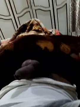 dildarlund online show from 10, 1, 2026