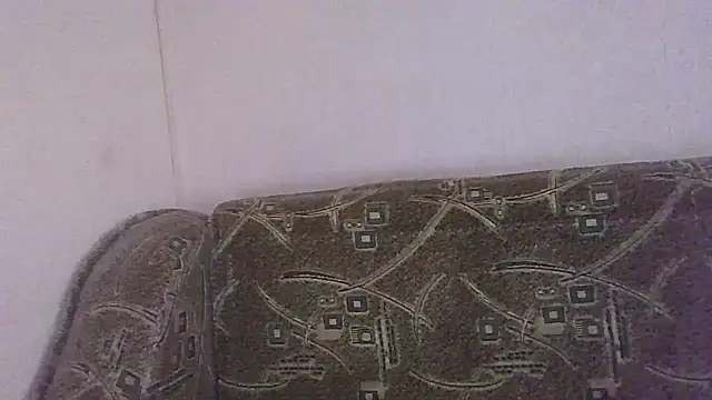 Snapshot of Norma_Wall chatting on 2, 7, 2026 Norma Wall online show from 2, 7, 2026