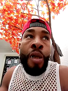 Dante Knox online show from 4, 4, 2026