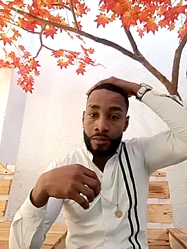 Dante Knox online show from 12, 2, 2026