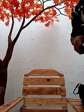 Dante Knox online show from 15, 2, 2026