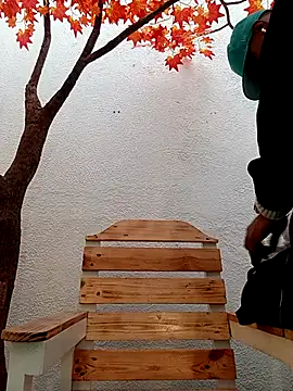 Dante Knox online show from 11, 3, 2026