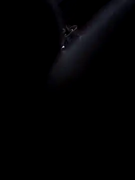 Boy4youuu online show from 13, 1, 2026