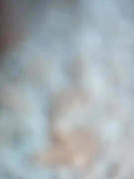 talytah online show from 19, 2, 2026