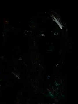 Emma  Carson online show from 10, 1, 2026