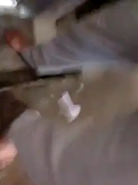 Guanatos13 online show from 2, 4, 2026